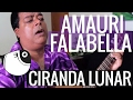 Ciranda lunar - Amauri Falabella | PEIXE BARRIGUDO