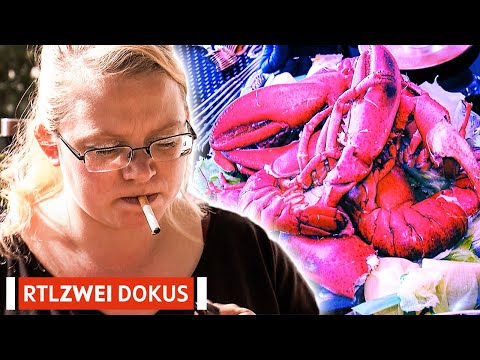 Hummer statt Hartz | 2 Familien - 2 Welten | Folge 2 Teil 2 | RTLZWEI Dokus