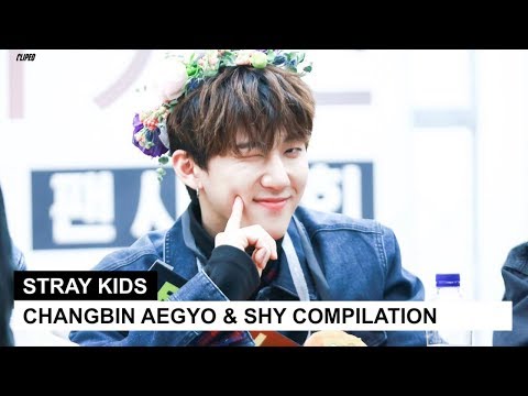 STRAY KIDS' CHANGBIN AEGYO & SHY COMPILATION | ENG SUB