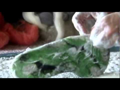 Penis Wärmer als Kult Souvenir Kroatischer regionaler Brauch aus Filzwolle