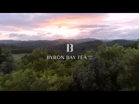 Byron Bay Tea Company - Our Story