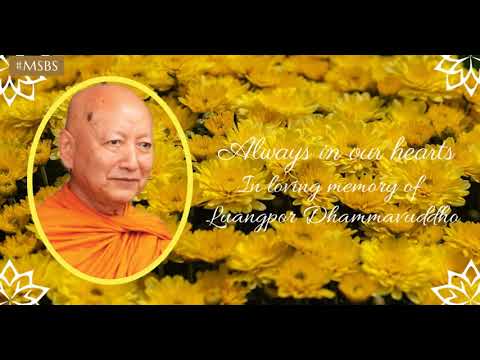 Original Uncorrupted Buddhism - MN 117 Mahacattarisaka The Great Forty 2010 09 05