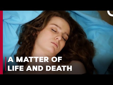 Bercin Cheats Death - Can't Stop Loving You