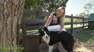 357 Gannet Road, Nowra Hill, NSW 2540