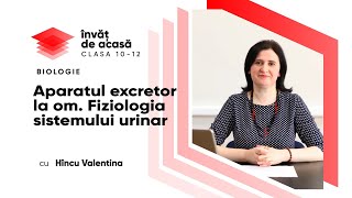 "Aparatul excretor la om. Fiziologia sistemului urinar"