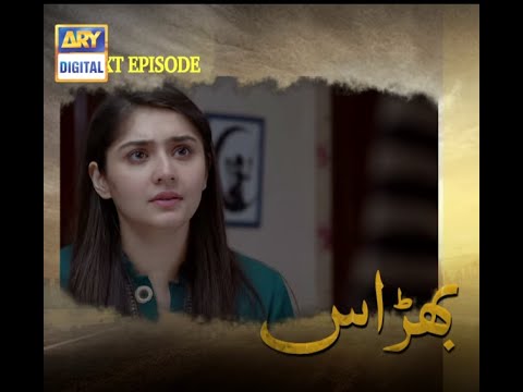 Bharaas  Dramas Episode 63 promo By Drama Hits | Hit Dramas