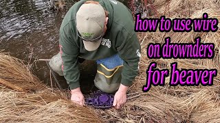 How to trap beaver with wire for drowners -Dunlap Lures