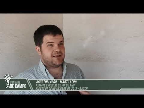 Agustín Lalor - Remate de fin de año de Martín G  Lalor en Rauch  - Jueves 7 de Nov  de 2019