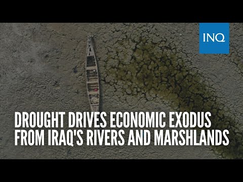 Drought drives economic exodus from Iraq's rivers and marshlands