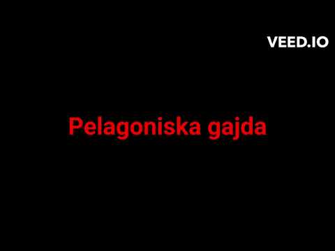 Pelagoniska Gajda