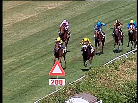 Galoppo 01/06/2018 - 1ª corsa