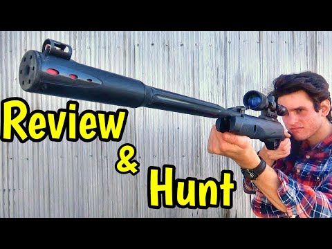 Gamo Whisper Fusion Mach 1 .22 (Review + Hunt)