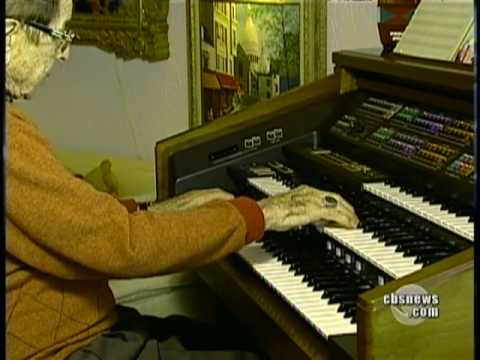 TV Theme Song Composer Dies