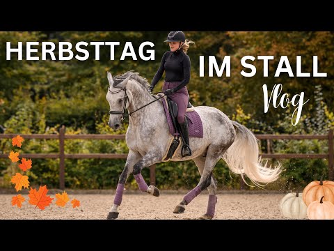 AUTUMN DAY IN THE STABLE with 3 horses 🍂