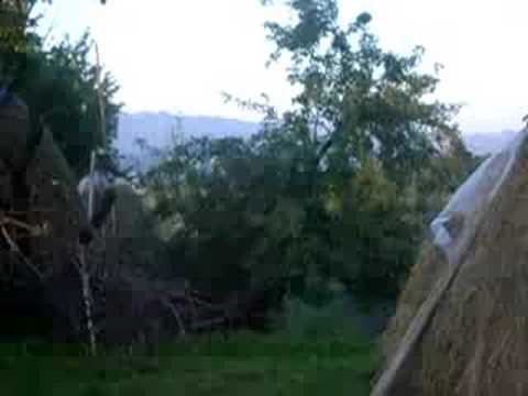 DSCN2213 - Hay stacks in Romania