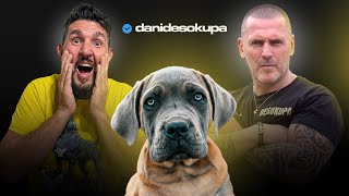 Desokupa  ( DANI ESTEVE ) REPITE  y se lleva el MEJOR CACHORRO DE JUANMA MORATO - blood xman
