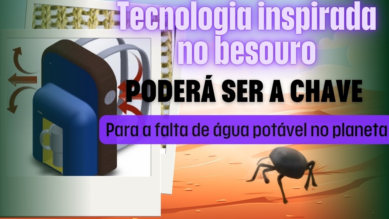Como um BESOURO pode ser a chave para REVOLUCIONAR a falta de água potável?