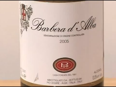 download lagu mp3 mp4 Pio Cesare Wine Price, download lagu Pio Cesare Wine Price gratis, unduh video klip Pio Cesare Wine Price