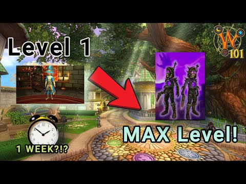 The Only Guide You'll Ever Need To Quickly Level Up in Wizard101! | Wizard101