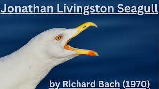 Short Summary of Book Jonathan Livingston Seagull by Richard Bach In Under 5 Minutes