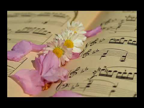 THE LOVE UNLIMITED ORCHESTRA-Love's Theme