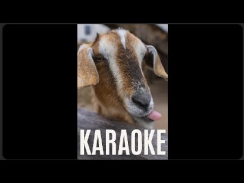 KARAOKE RAPPER LÈ NHÈ ROBBER