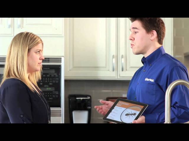 Advanced Pest Control Services LLC - Durant, OK