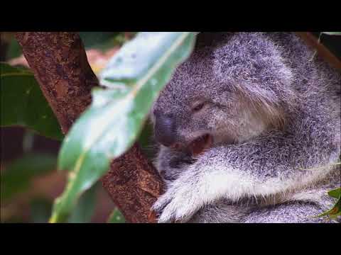 digital India vidushi singh