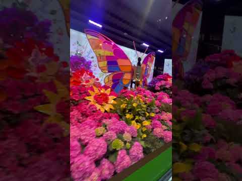 All These Flowers are Real @ Historical LandMark Empire State Building, New York City, USA 🇺🇸