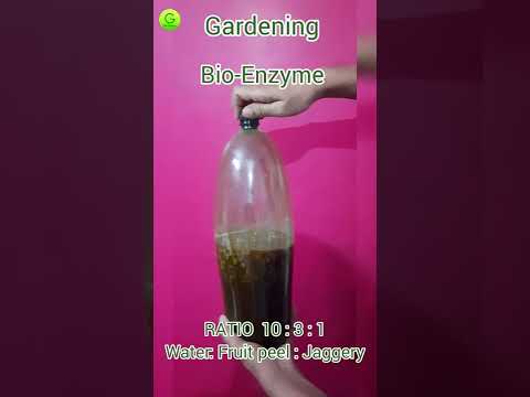 Bio Enzyme For Treatment Tanks