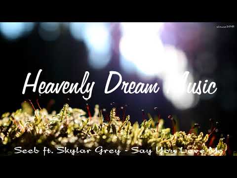 Seeb ft. Skylar Grey - Say You Love Me