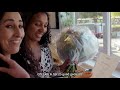 Partnervideo | Beercoo & Excelsior4All