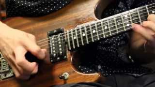 Sinergy - Warrior Princess(Guitar Solo Cover)