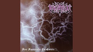 Shades of Emerald Fields