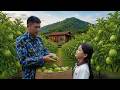 Betrayed By His Wife A Veteran Finds Happiness Raising His Daughter And Harvesting Guavas
