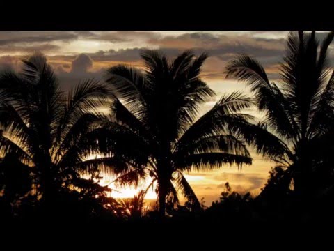 AKINO 2016 ° sii taua