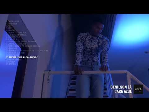 16. Denilson L.A - Sentido (visualizer)
