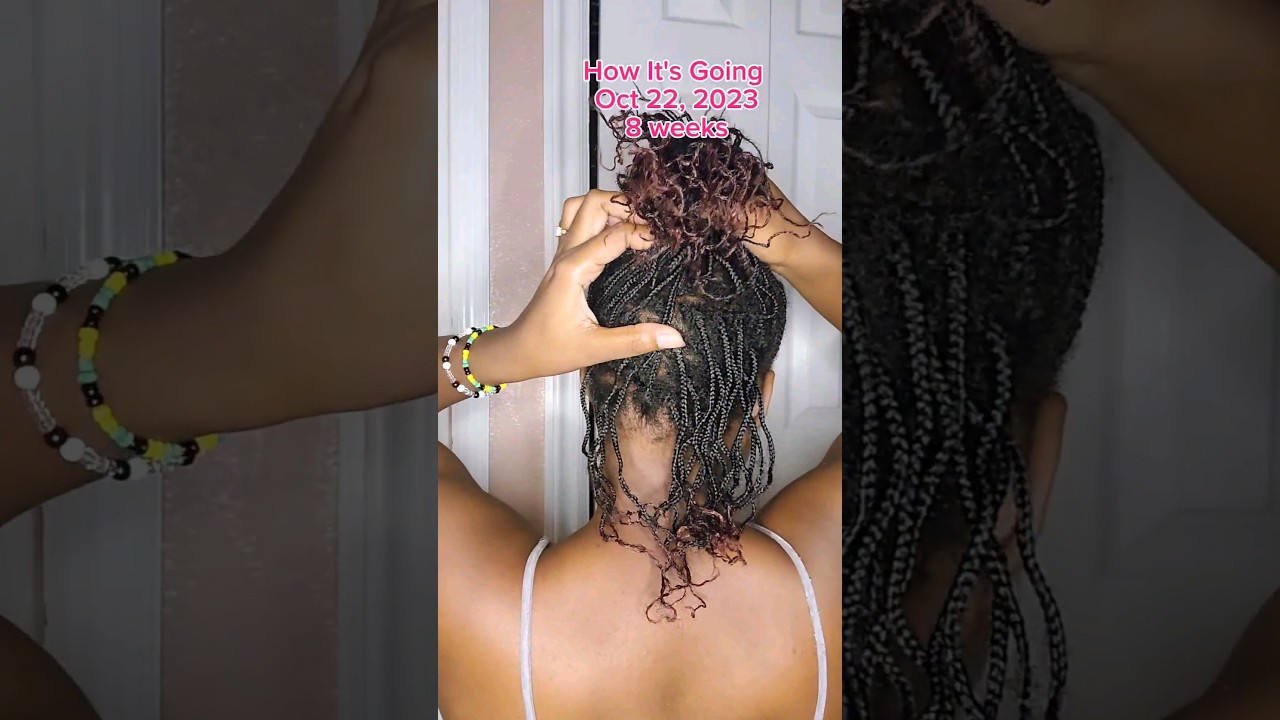 8 Weeks Mini Braids Update *New Growth‼️* | Follow @_christalb  #naturalhair  #shorts