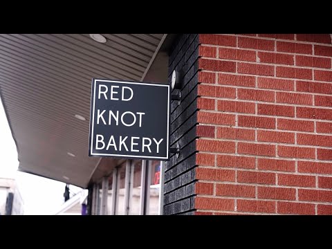 Sarah Schiller Photography video.