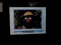 Elmo S World Frogs Email Elmo Has Mail