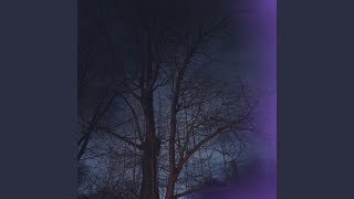 Tangerine Daydream Music Video