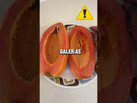 Frutas de semillas