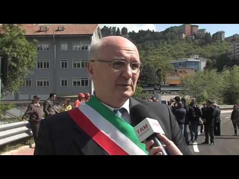 Trattamento di prostatite, adenoma, impotenza Antipasto di potenza