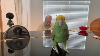 Teach me tonight (feat. Frank Sr.)