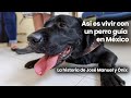 Poblanerias.com | Noticias y turismo en Puebla 21 Video thumbnail