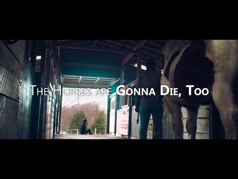 The Horses are Gonna Die, Too Teaser