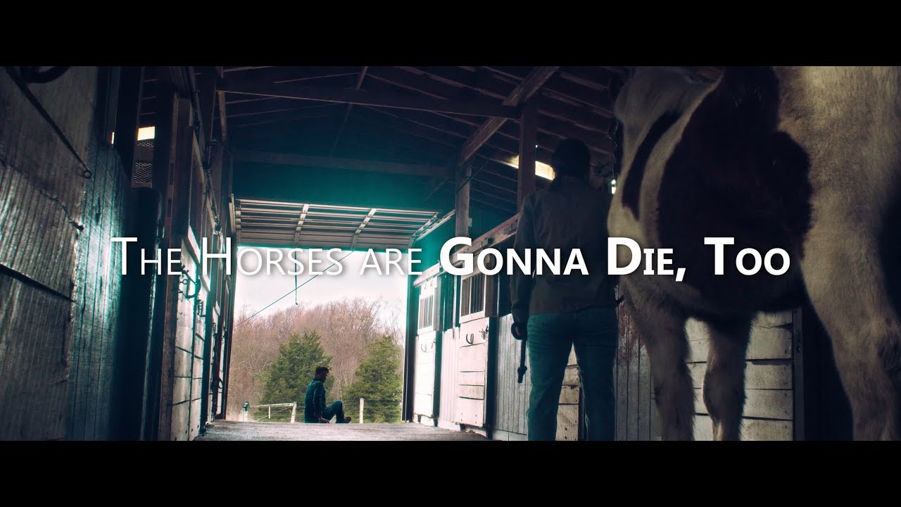 The Horses are Gonna Die, Too Teaser