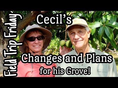 Field Trip Friday - Cecil's Changes and Plans for his Grove!