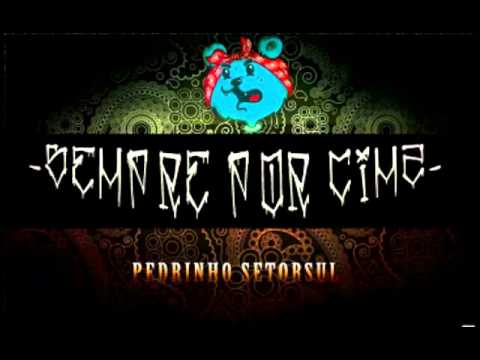 Pedrinho Setorsul part. Mc Bertim e JHUNIS