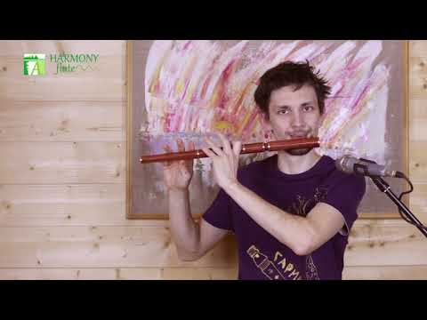 Buy Irish Flute - HarmonyFlute